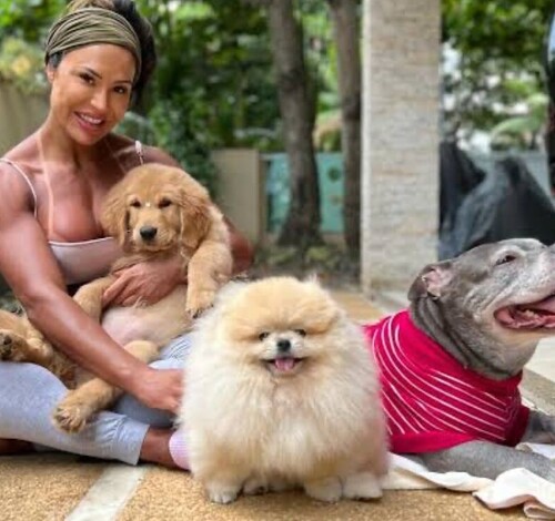 Confinada no BBB, Gracyanne perdeu duas pets, uma morreu e a outra fugiu